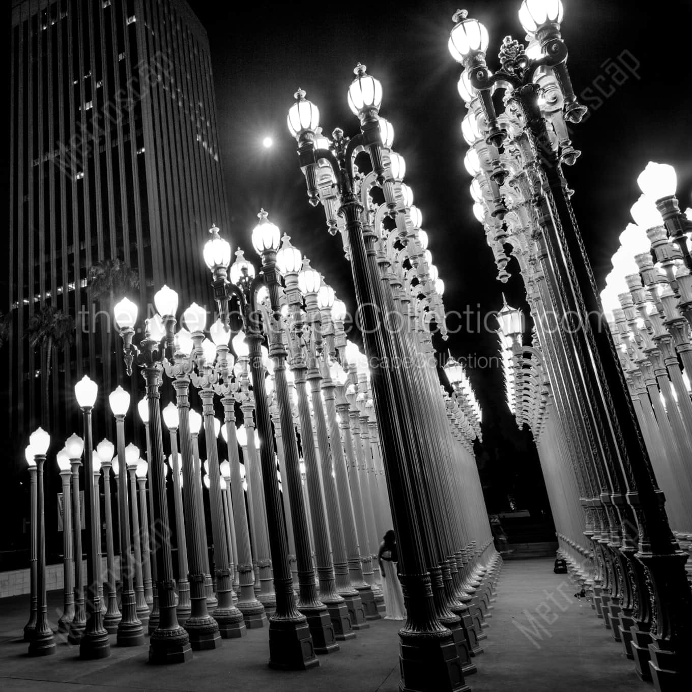 Lamps At Los Angeles County Museum Of Art black and white: Square crop